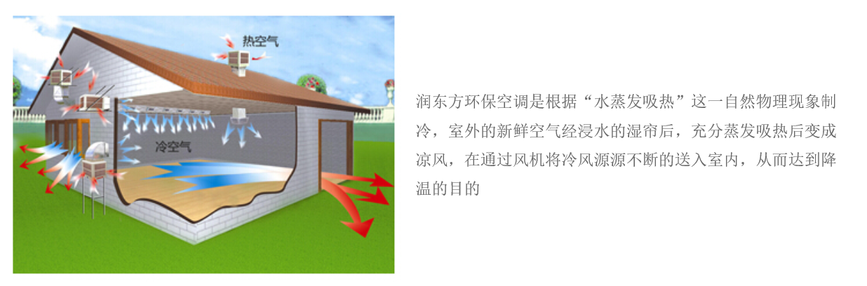 J9集团官网-FIBA签约合作商j9.comRDF-23A(图2)