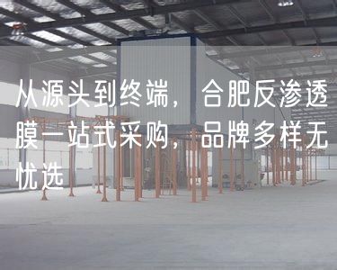 从源头到终端，合肥反渗透膜一站式采购，品牌多样无忧选(图1)