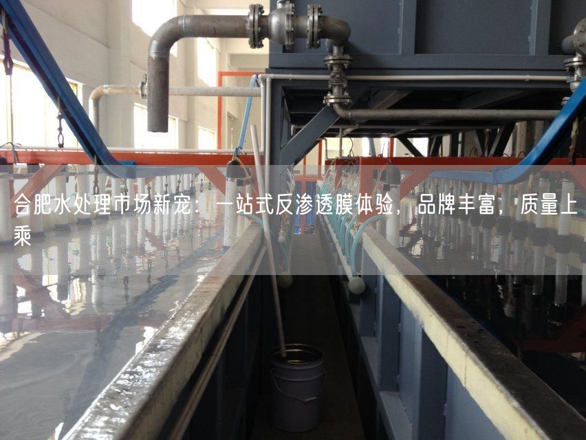 合肥水处理市场新宠：一站式反渗透膜体验，品牌丰富，质量上乘(图1)