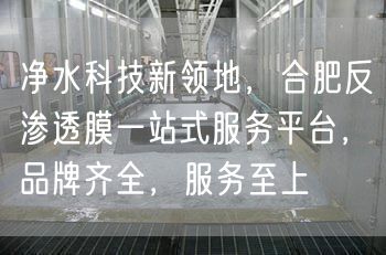 净水科技新领地，合肥反渗透膜一站式服务平台，品牌齐全，服务至上(图1)