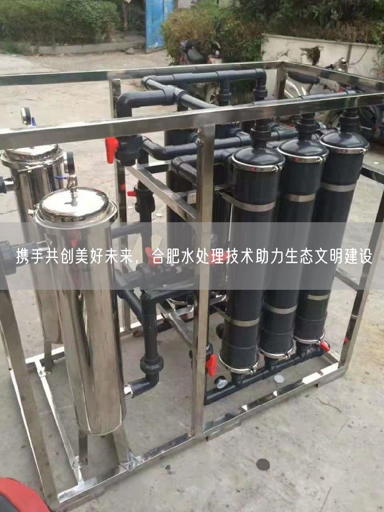 携手共创美好未来，合肥水处理技术助力生态文明建设(图1)