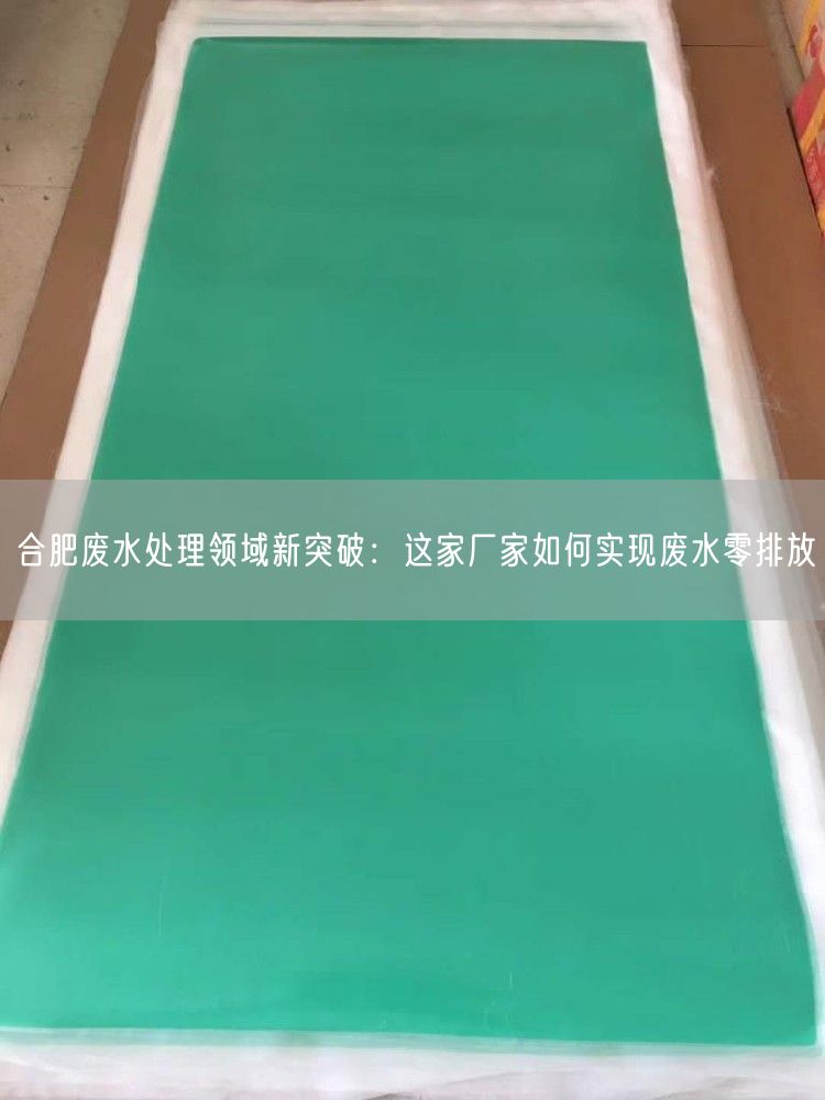 合肥废水处理领域新突破：这家厂家如何实现废水零排放(图1)